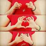 Mohammadreza5310