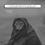 night_wolf