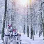 Mohamad555
