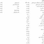 Kamran041