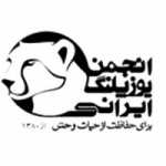 shahin4