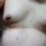 omid644