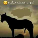 moha123