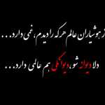 Didar1376