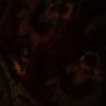 alialavi23