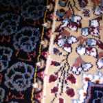 Amir3434