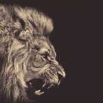 talion