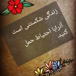 shoran98