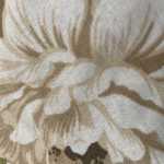 Miladmorad