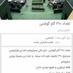 Abbas13681368