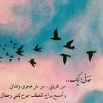 Alireza13