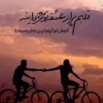 Amin614455