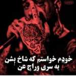 Mohammad212