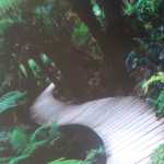 moein2000