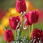yousefzia