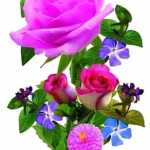 SAHIL