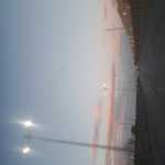 sagi