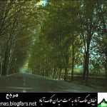 Danyal1293