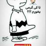 Hamidrezaaa