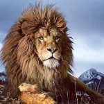 Mohamad777baghe