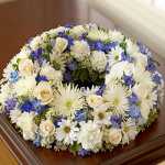 negar_2020