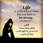 behnam2015