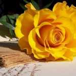 parsa_140