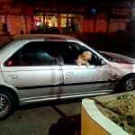 Golp3ari