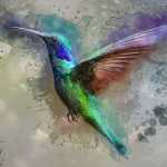 mammad1234
