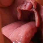 Afshin69