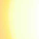 Omid1566