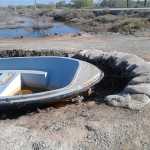 omid123456987