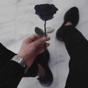 Post 26851