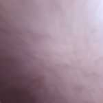 Zand8636