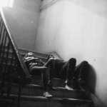 farnam28