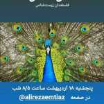 Saman134578