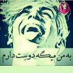 Hamed536