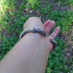 fariborz12