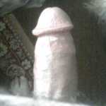 reza_shayan