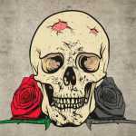 saeid_ss