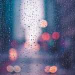 hossein313