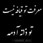 Ali26669