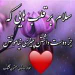 irannovin