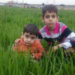 arshia1385