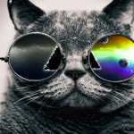 jizze