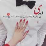 javad233236