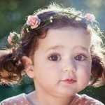 roya137