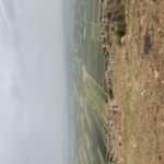 mahbod