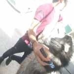 Shahabshz