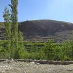 Araz1360